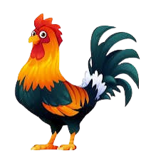 Cock